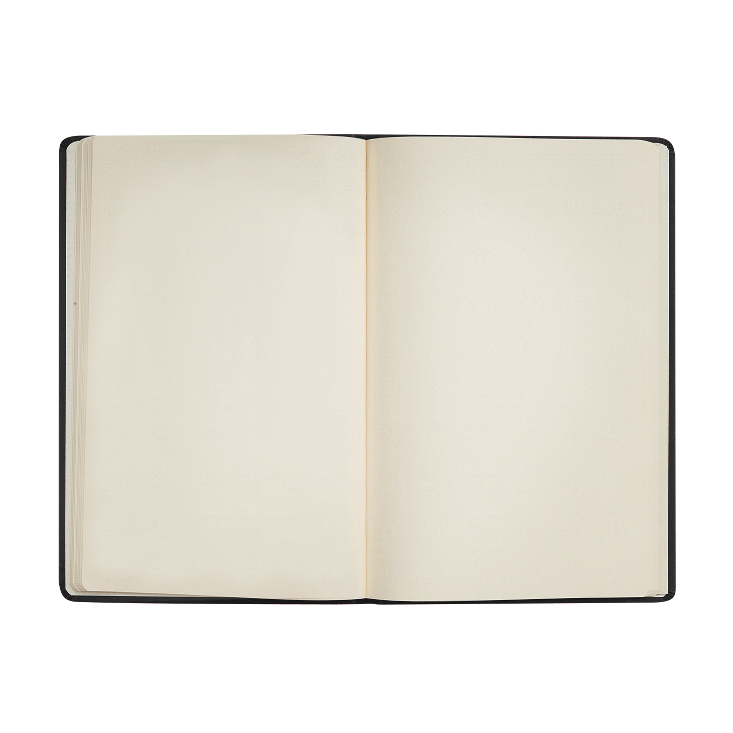Carnet de note XL - Couverture noire - Page blanche - 19 x 25 cm